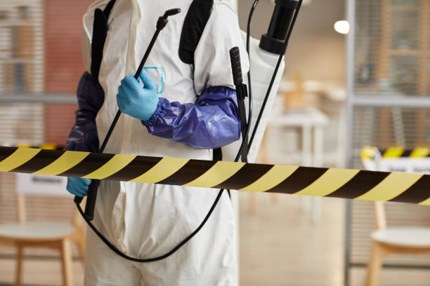 Professional Blood Cleanup technician working in Groveland, FL